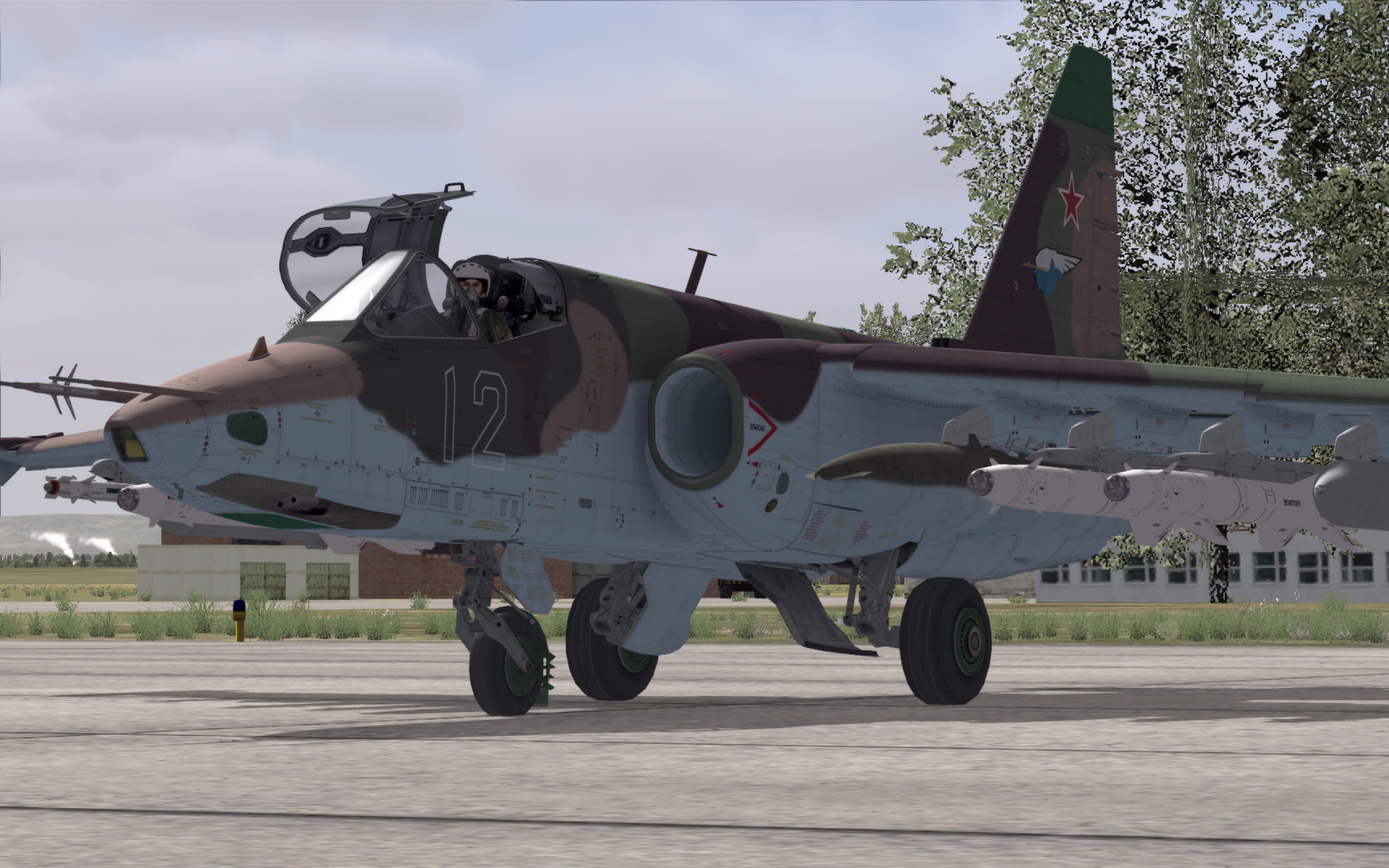 DCS World: Su-25