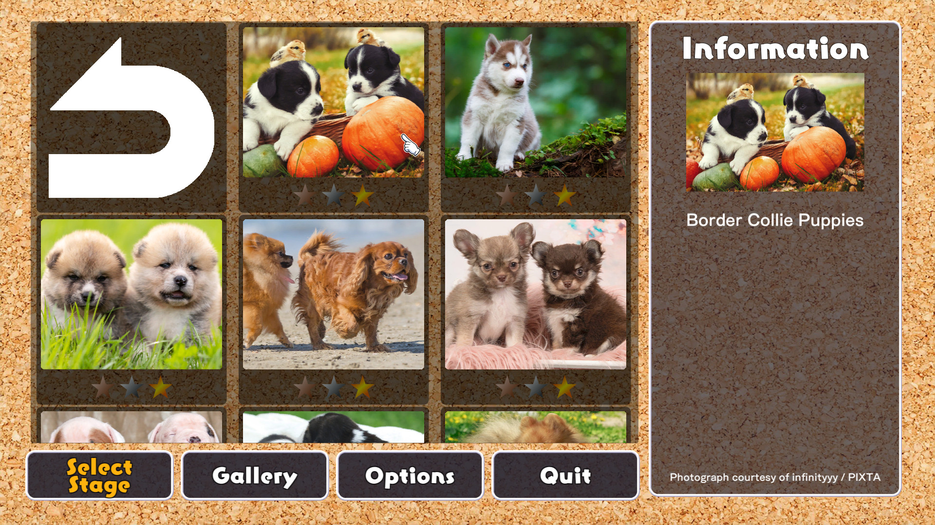 Jigsaw Masterpieces: Cute Lovely Dogs