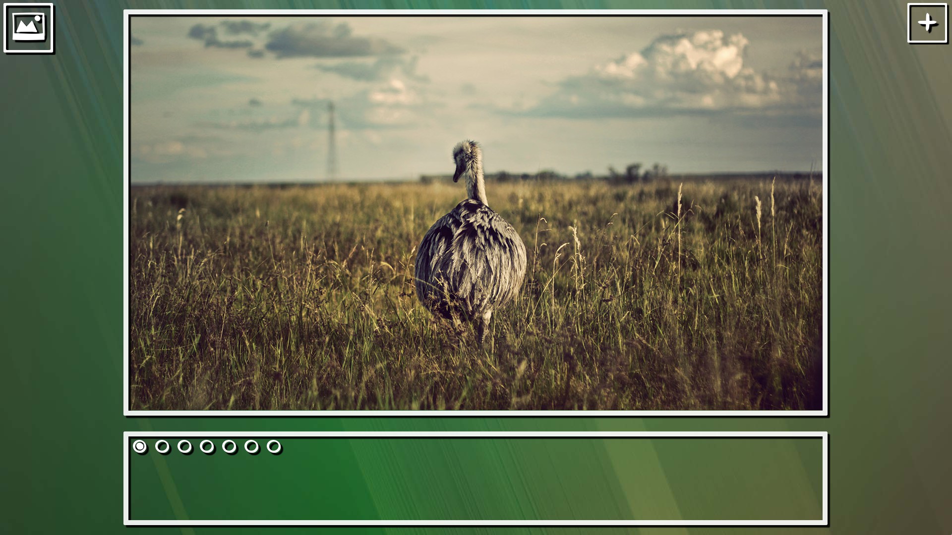 Super Jigsaw Puzzle: Generations – Random Puzzles