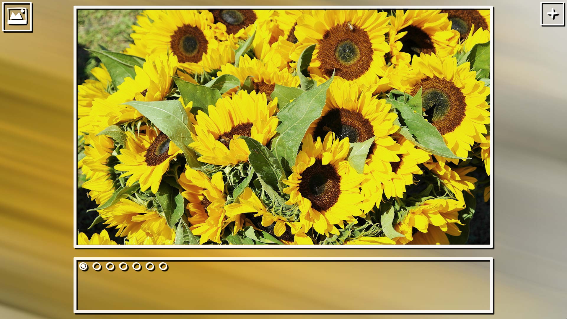 Super Jigsaw Puzzle: Generations – Random Puzzles