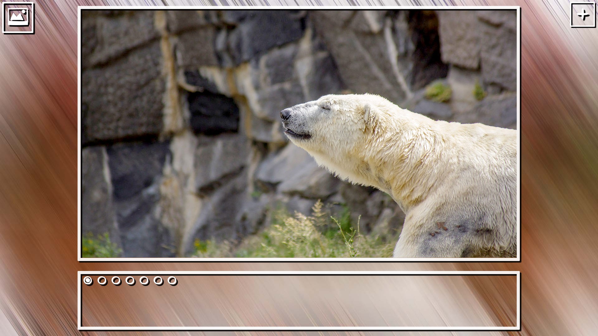 Super Jigsaw Puzzle: Generations – Random Puzzles