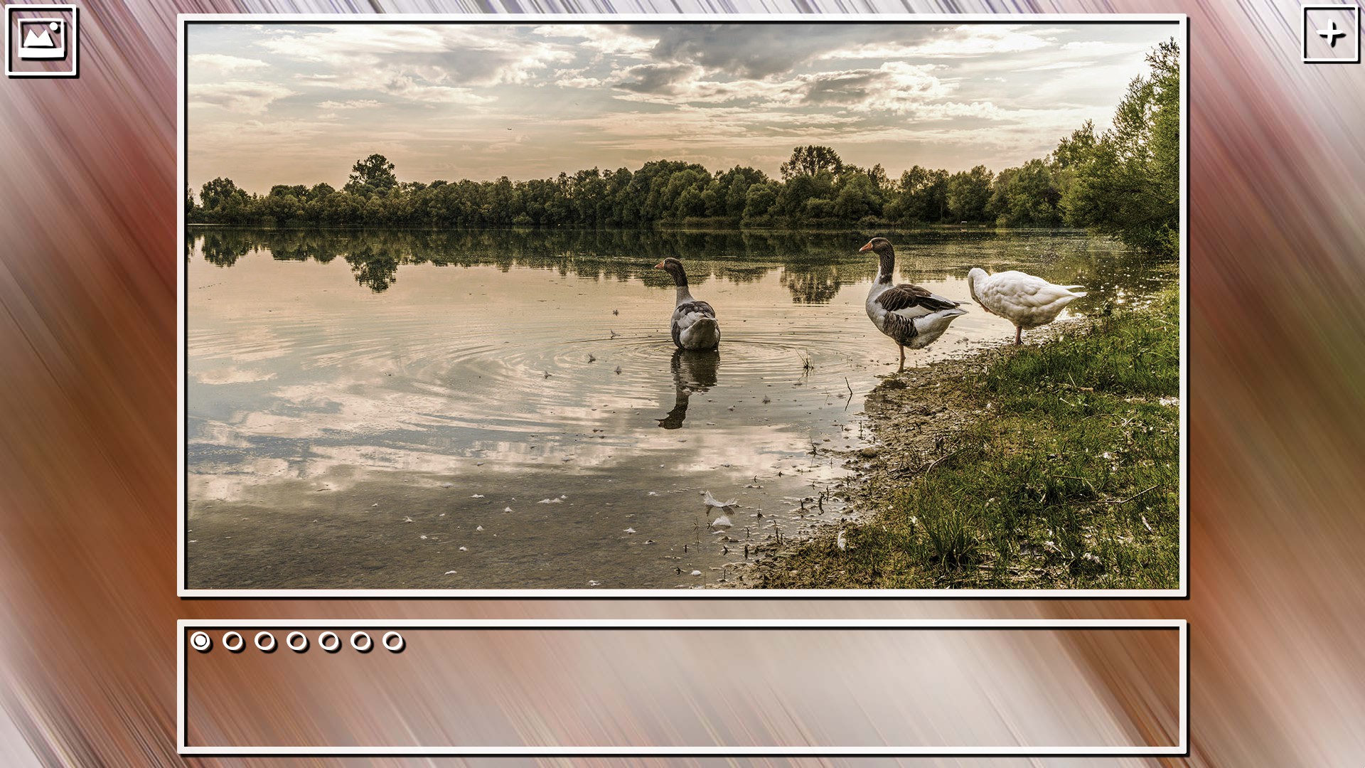 Super Jigsaw Puzzle: Generations – Random Puzzles