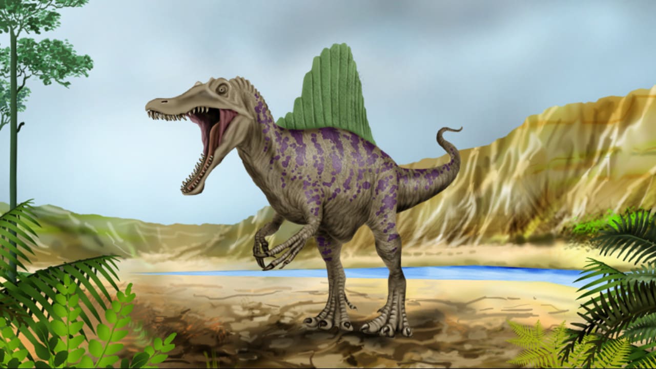 Dinosaur Fossil Puzzles