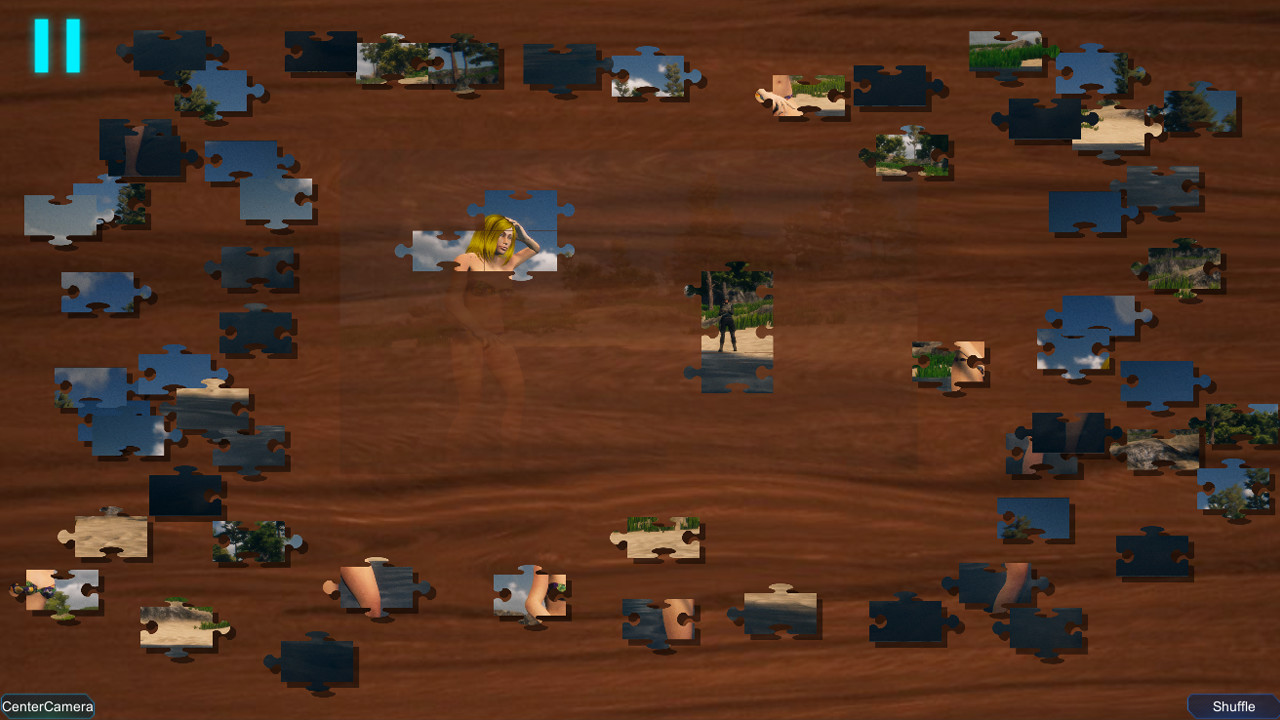 Gunship Recon: Character Puzzles