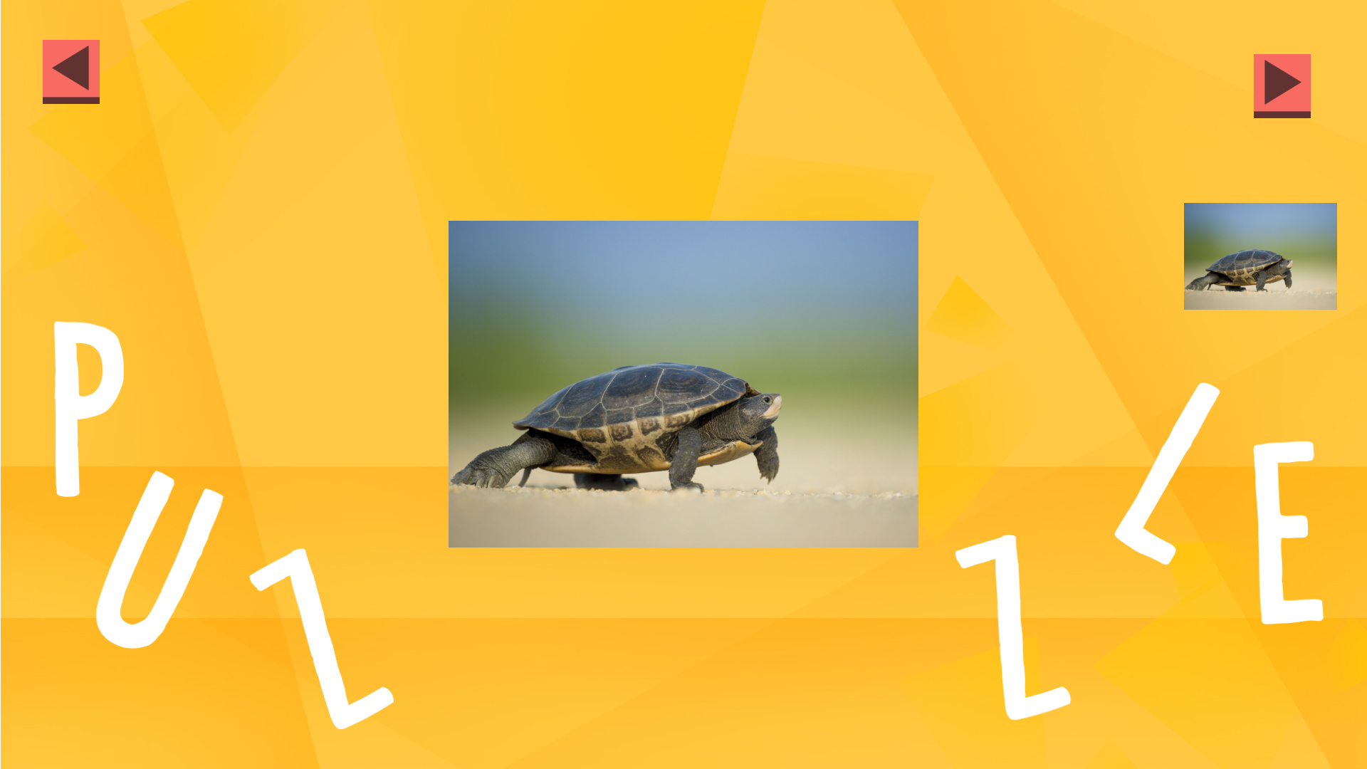 Game of Puzzles: Animals