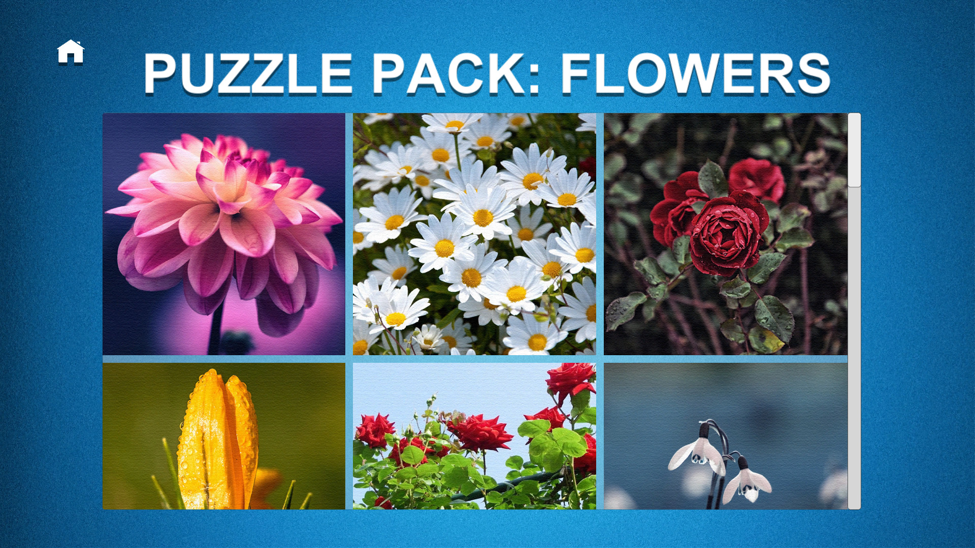 Puzzle: Ultimate – Puzzle Pack: Flowers