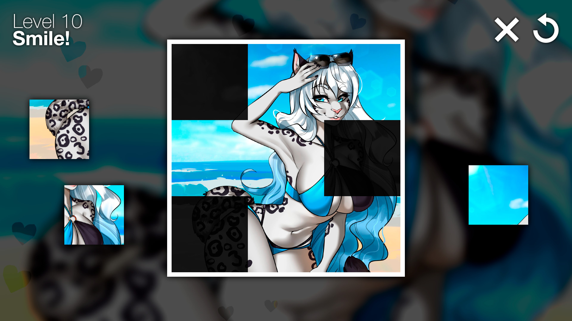 Furry Puzzle
