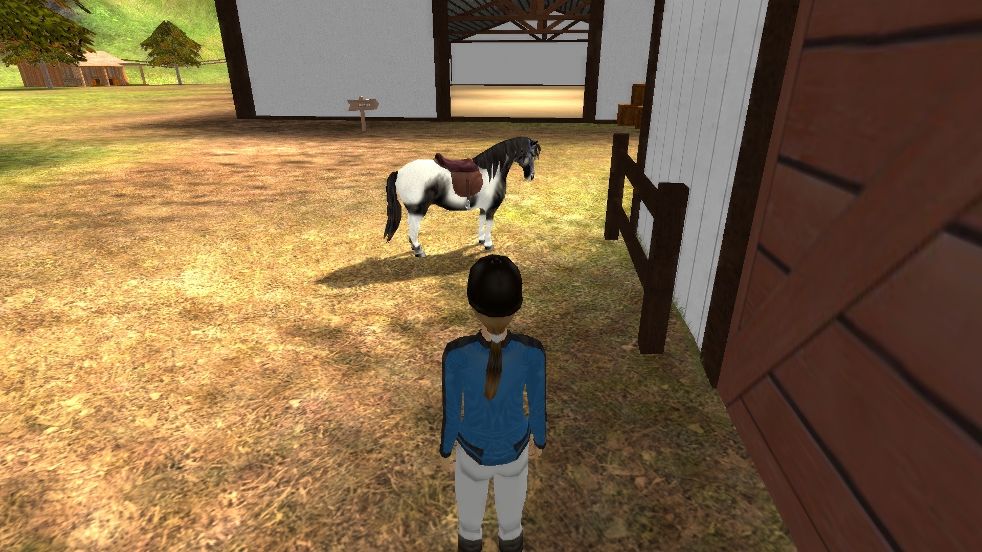 Rider’s World: I Want to Ride!