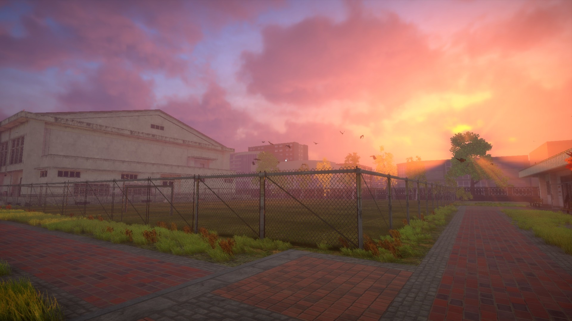 The Dream is Coming…