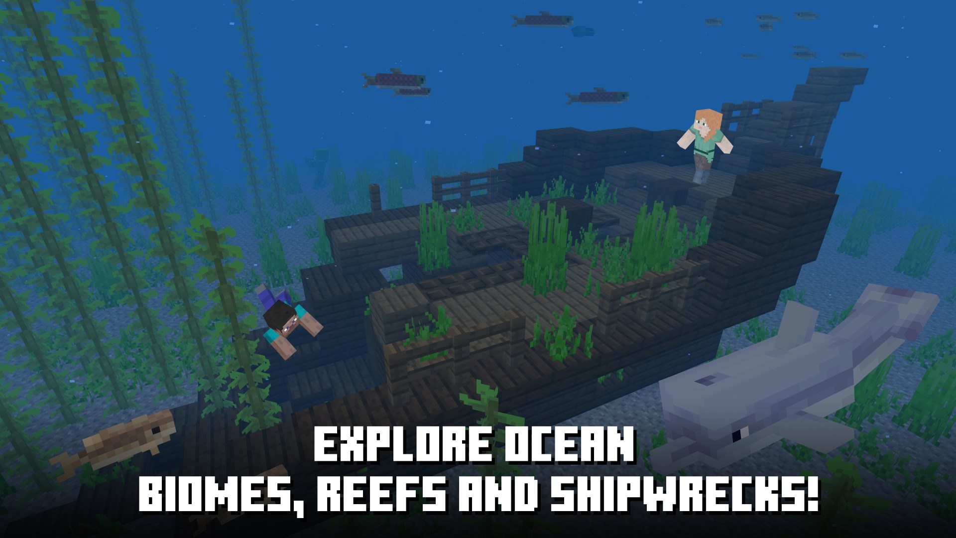 Minecraft Starter Collection