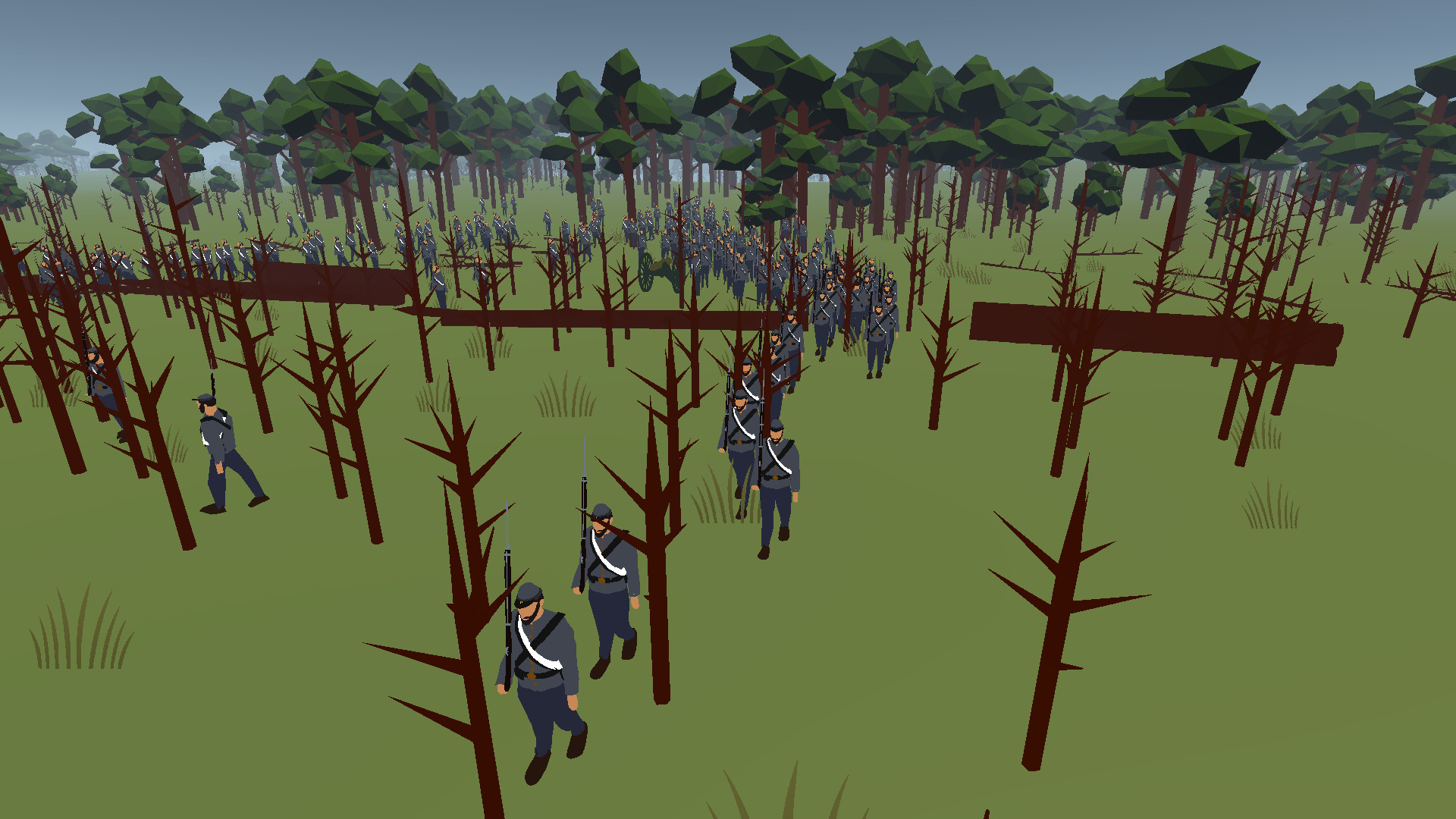 Rebel Reenactment: Battle of the Wilderness