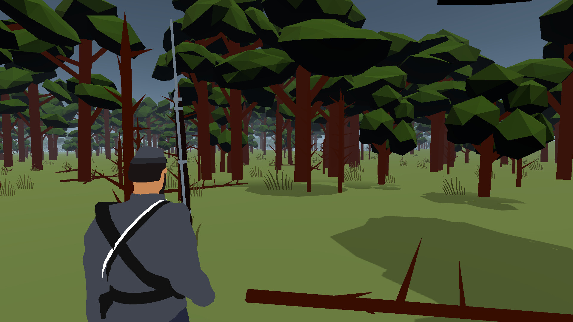 Rebel Reenactment: Battle of the Wilderness