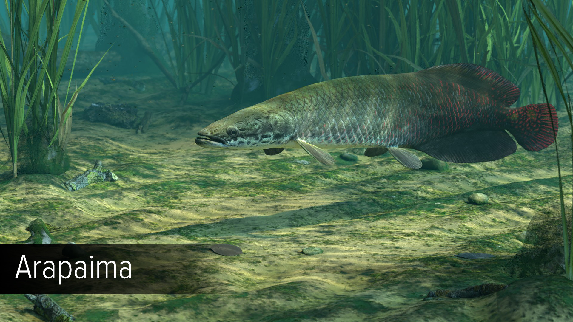 Ultimate Fishing Simulator: Amazon River DLC