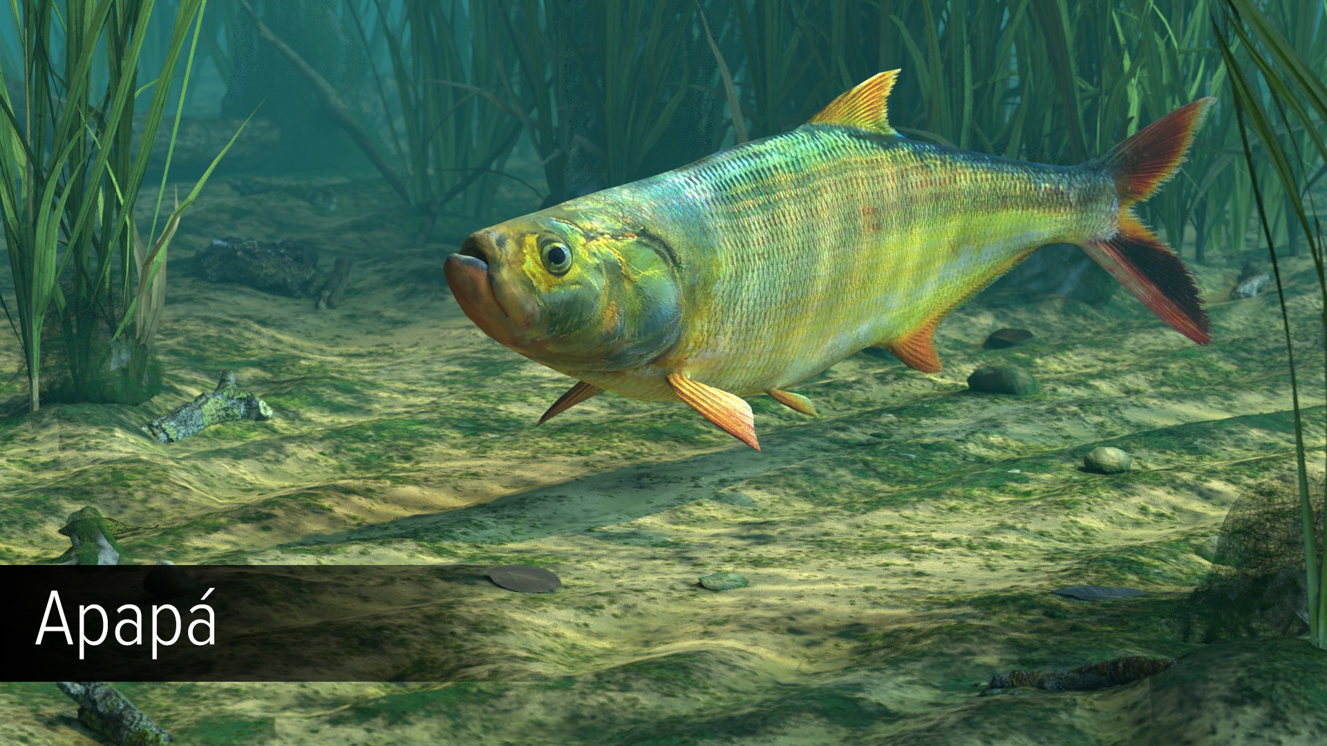 Ultimate Fishing Simulator: Amazon River DLC