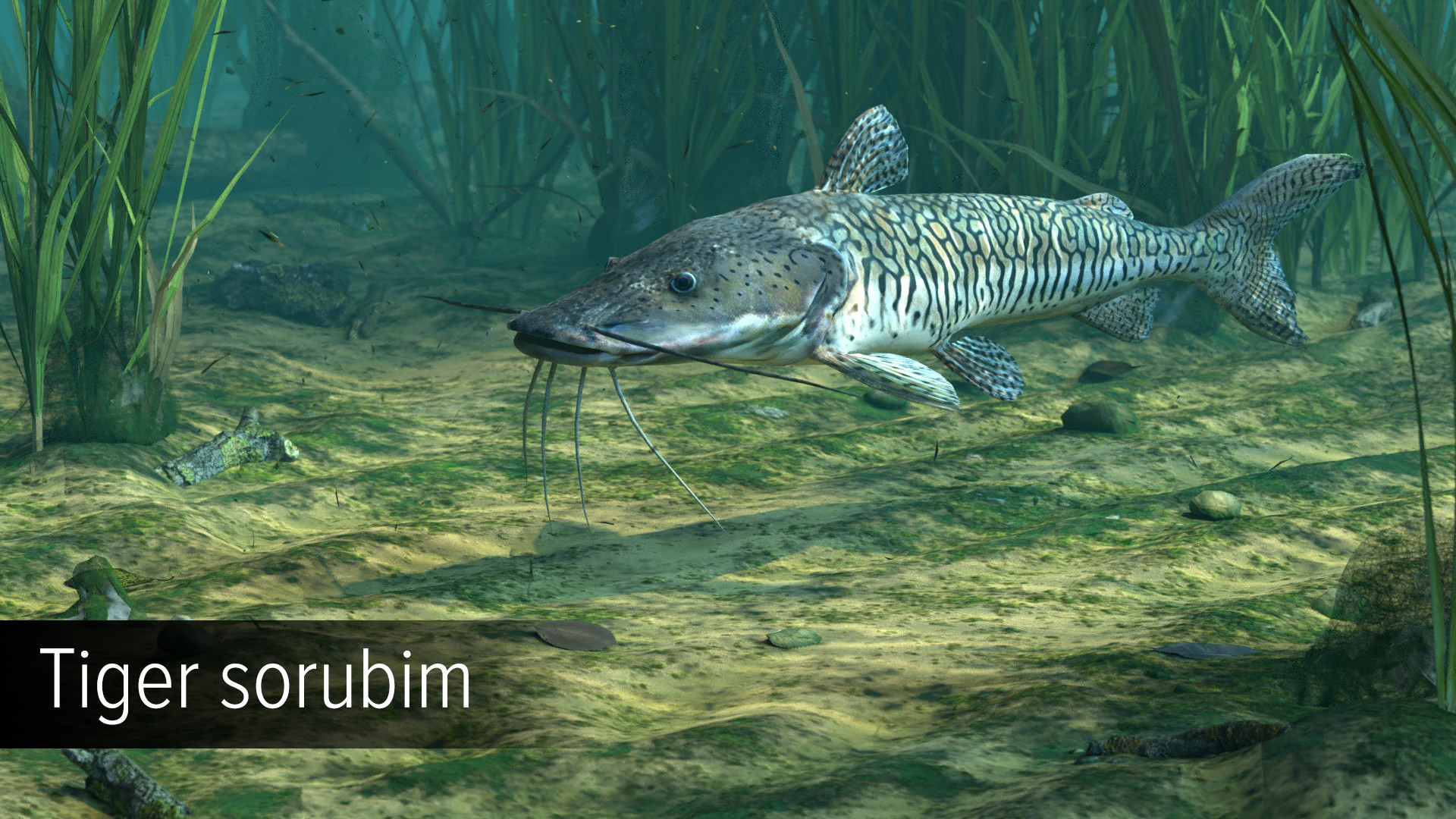 Ultimate Fishing Simulator: Amazon River DLC