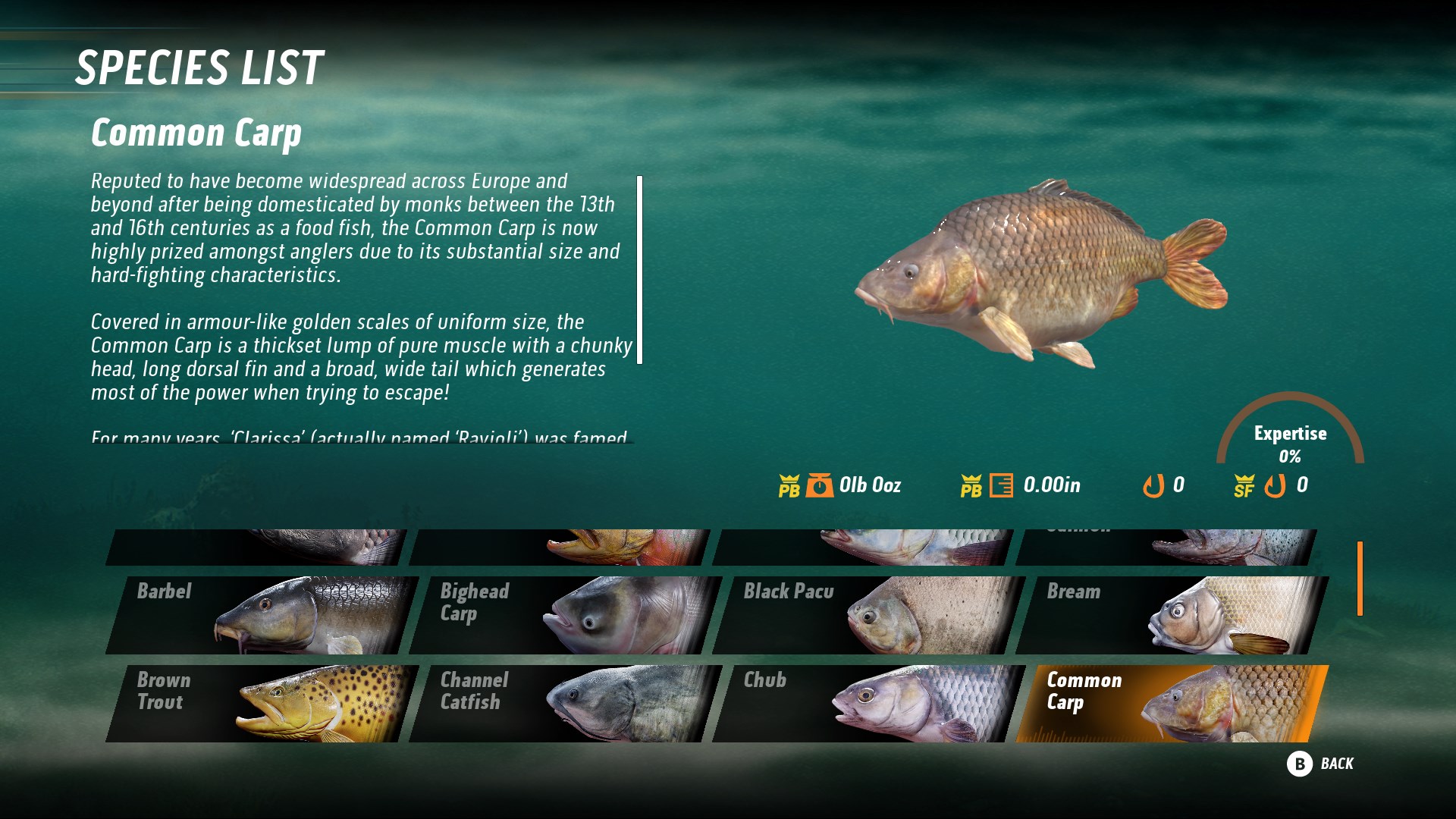 Fishing Sim World: Pro Tour + The Catch: Carp &amp; Coarse
