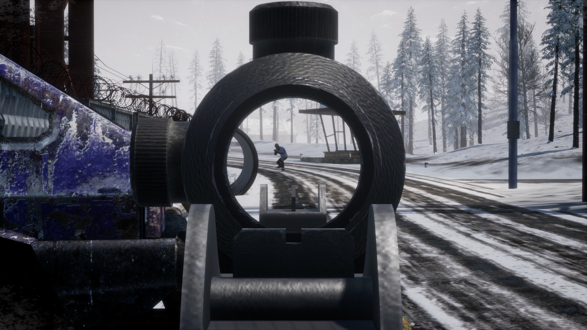 Anarchy: Wolf’s Law