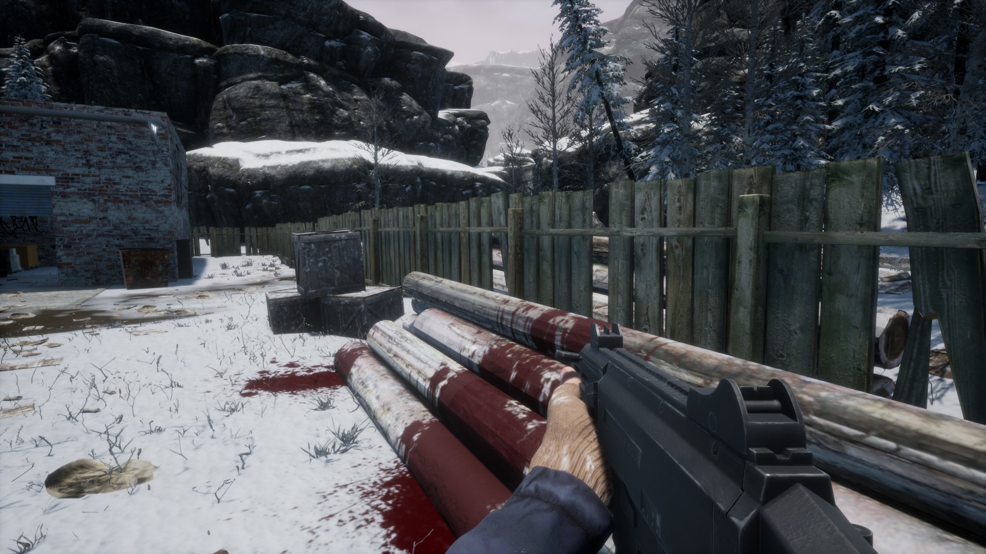 Anarchy: Wolf’s Law