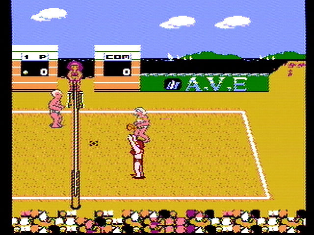 Venice Beach Volleyball