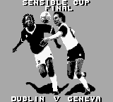 Sensible Soccer: European Champions