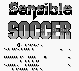 Sensible Soccer: European Champions
