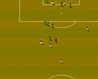 International Sensible Soccer