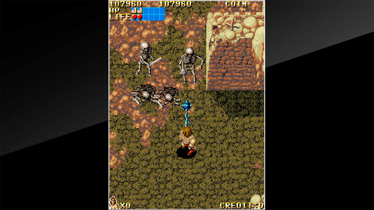 Arcade Archives: Vandyke