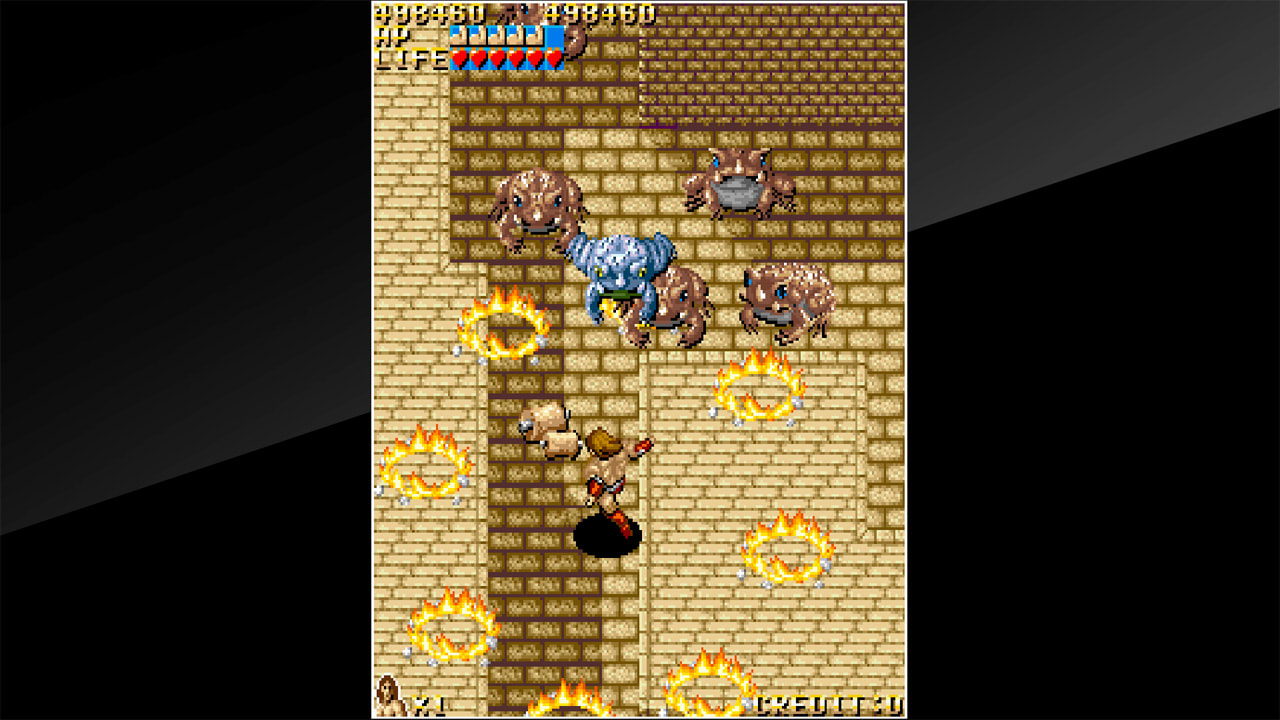 Arcade Archives: Vandyke