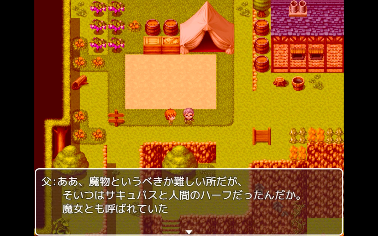 Milena’s manor house