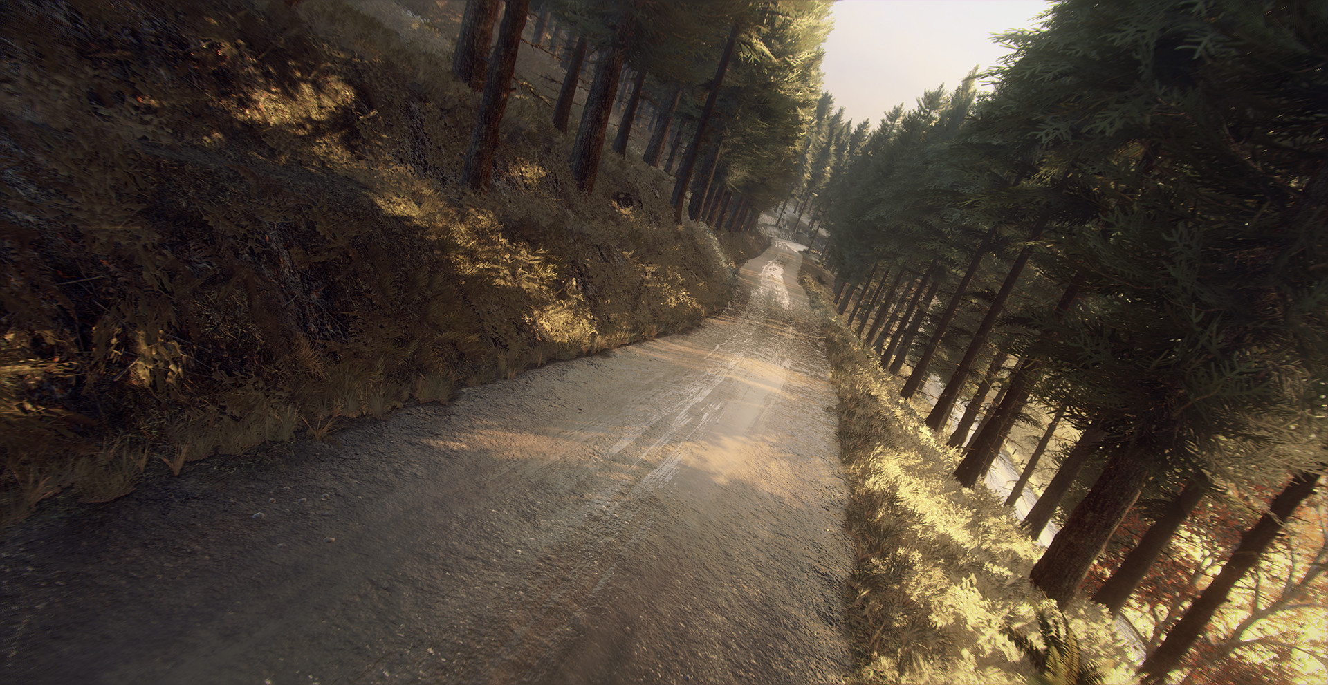 Dirt Rally 2.0: Colin McRae – Flat Out Pack