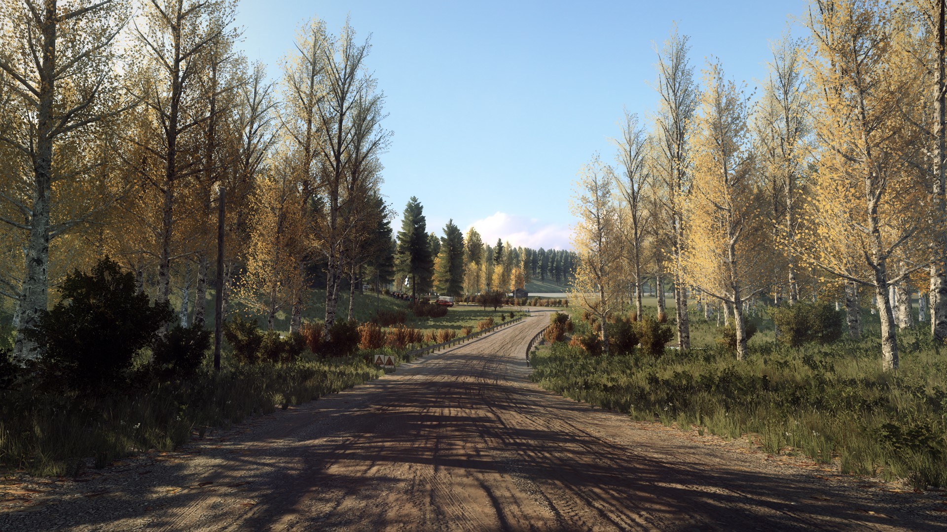 DiRT Rally 2.0: Finland (Rally Location)