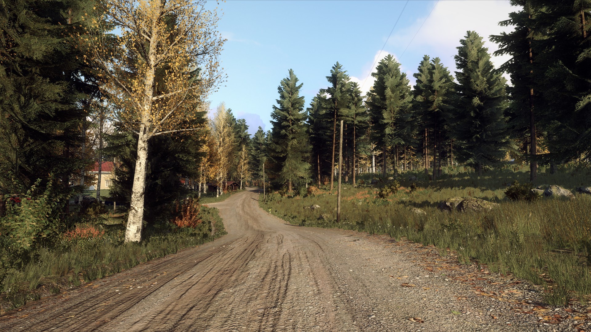 DiRT Rally 2.0: Finland (Rally Location)