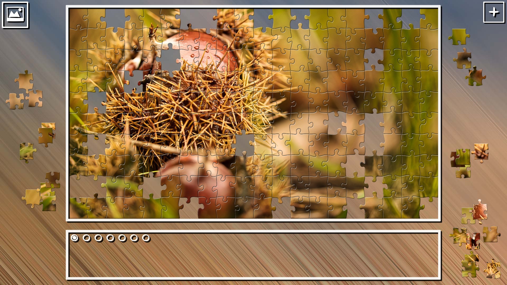 Super Jigsaw Puzzle: Generations – Autumn 2021