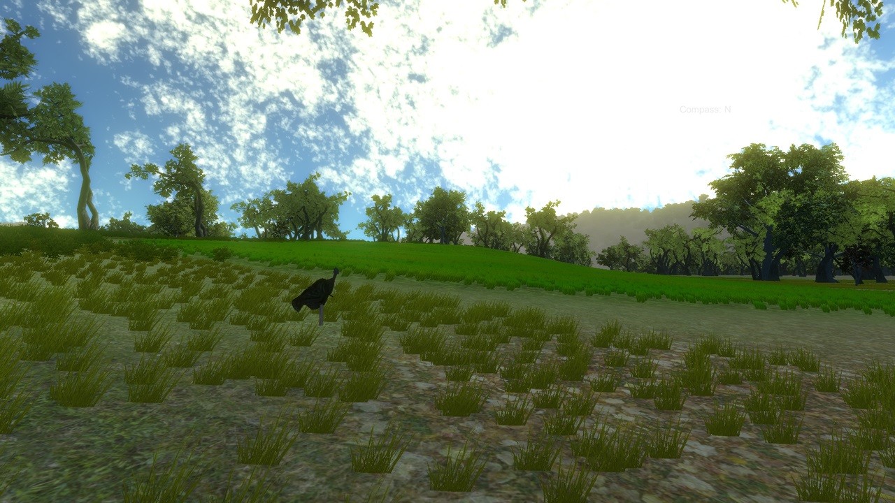 Turkey Hunting Unlimited