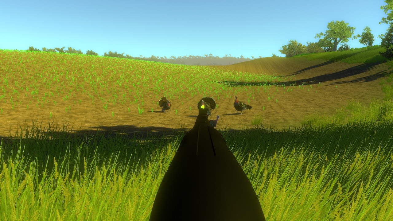 Turkey Hunting Unlimited