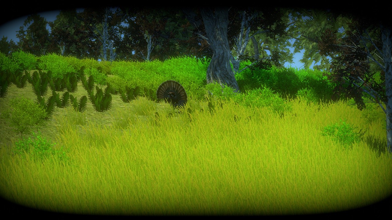 Turkey Hunting Unlimited
