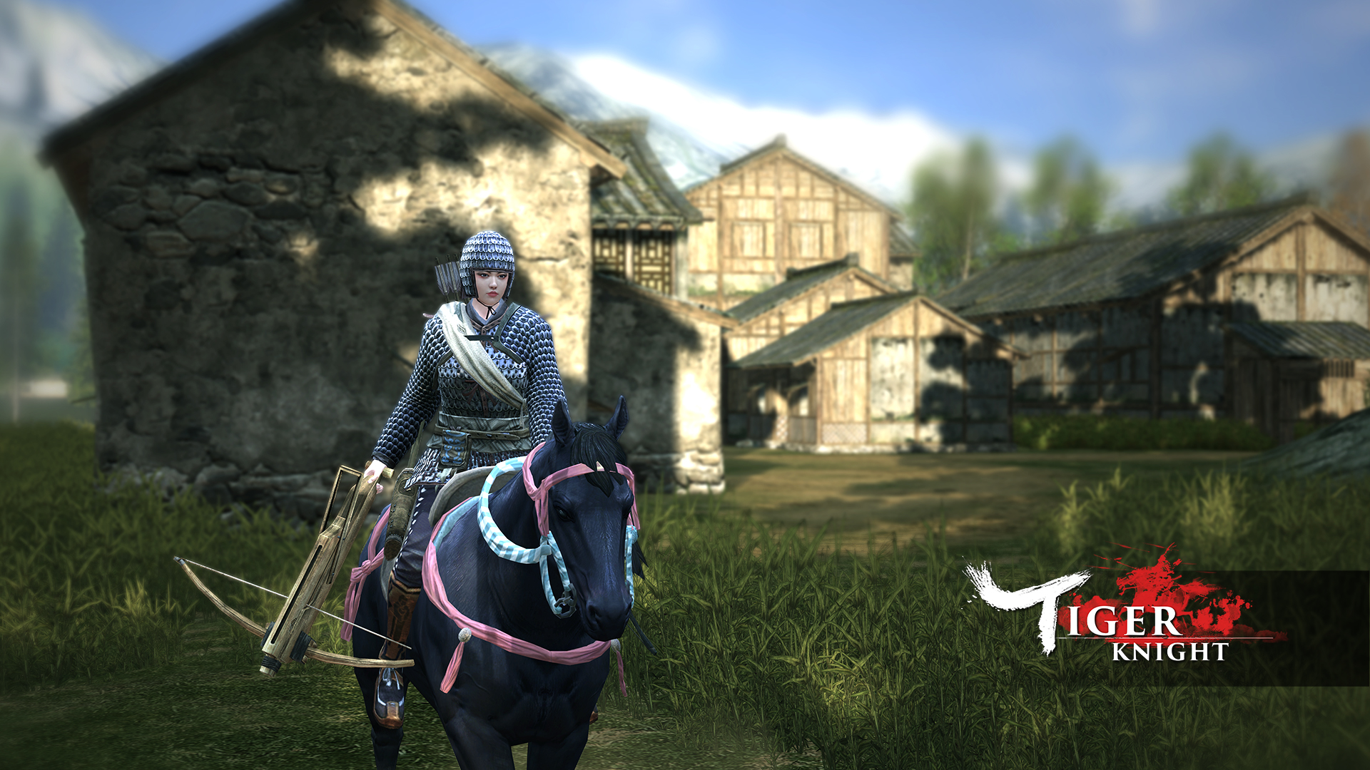 Tiger Knight: Battle Royale