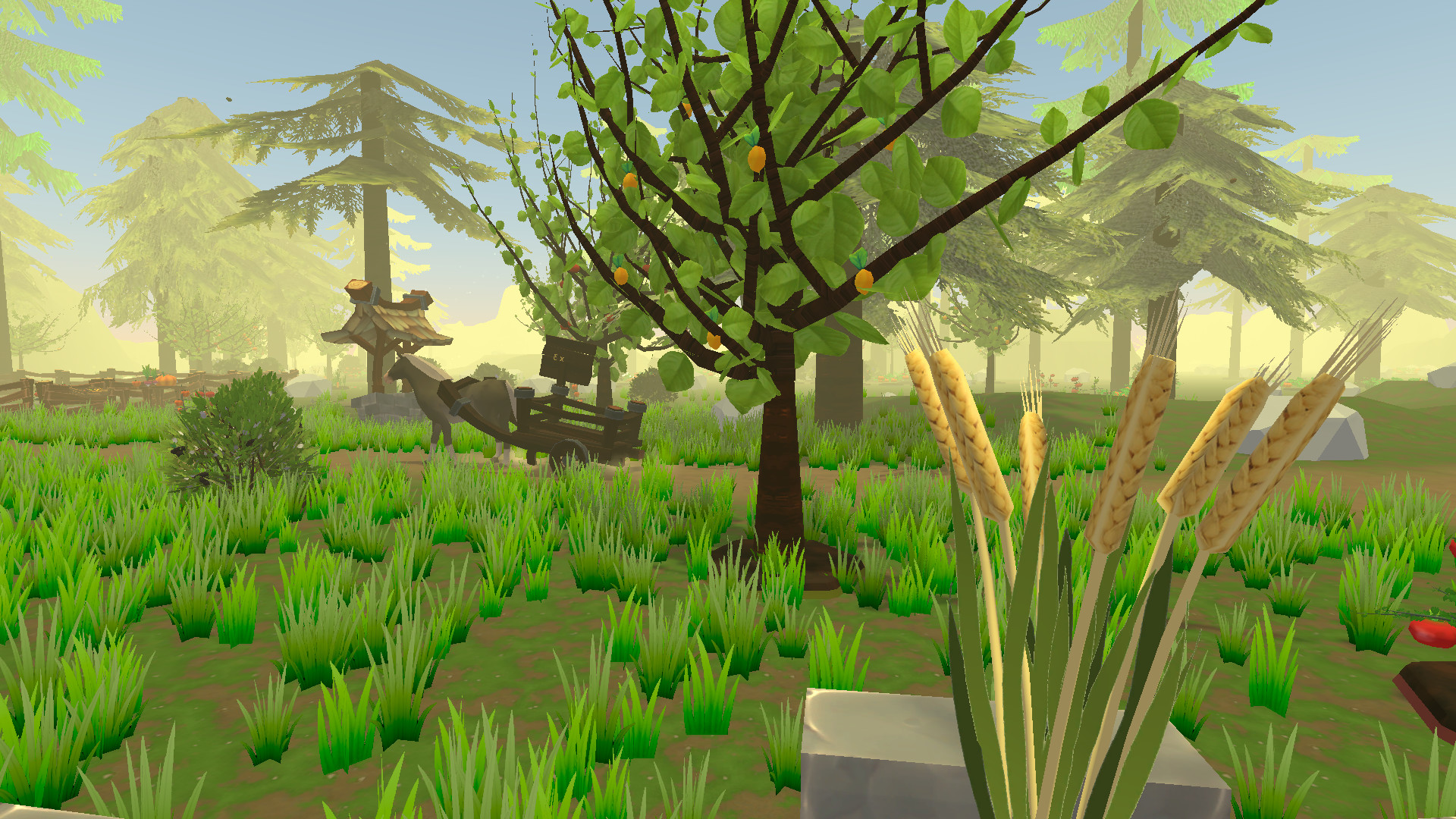 Forest Farm