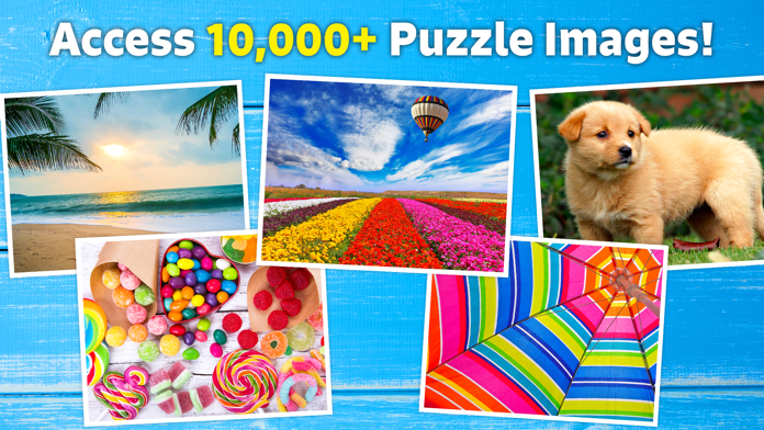 Jigsaw Puzzle Bug