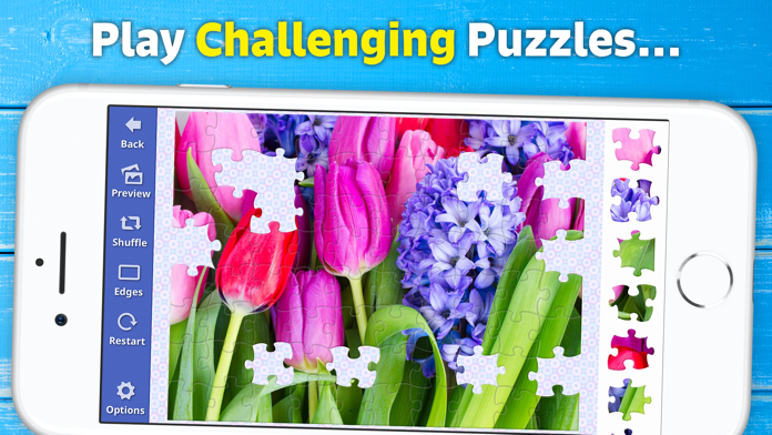 Jigsaw Puzzle Bug