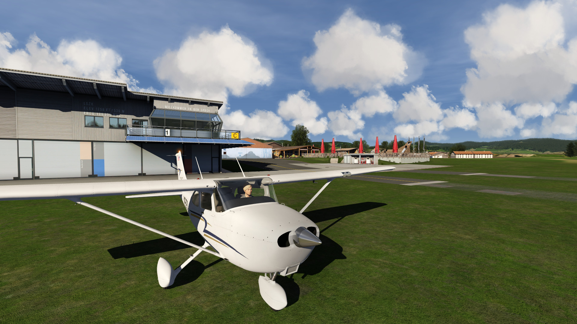 Aerofly FS 2 Flight Simulator: Switzerland