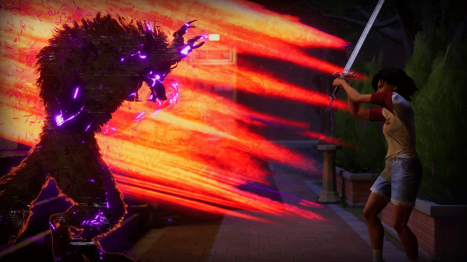 Video Horror Society