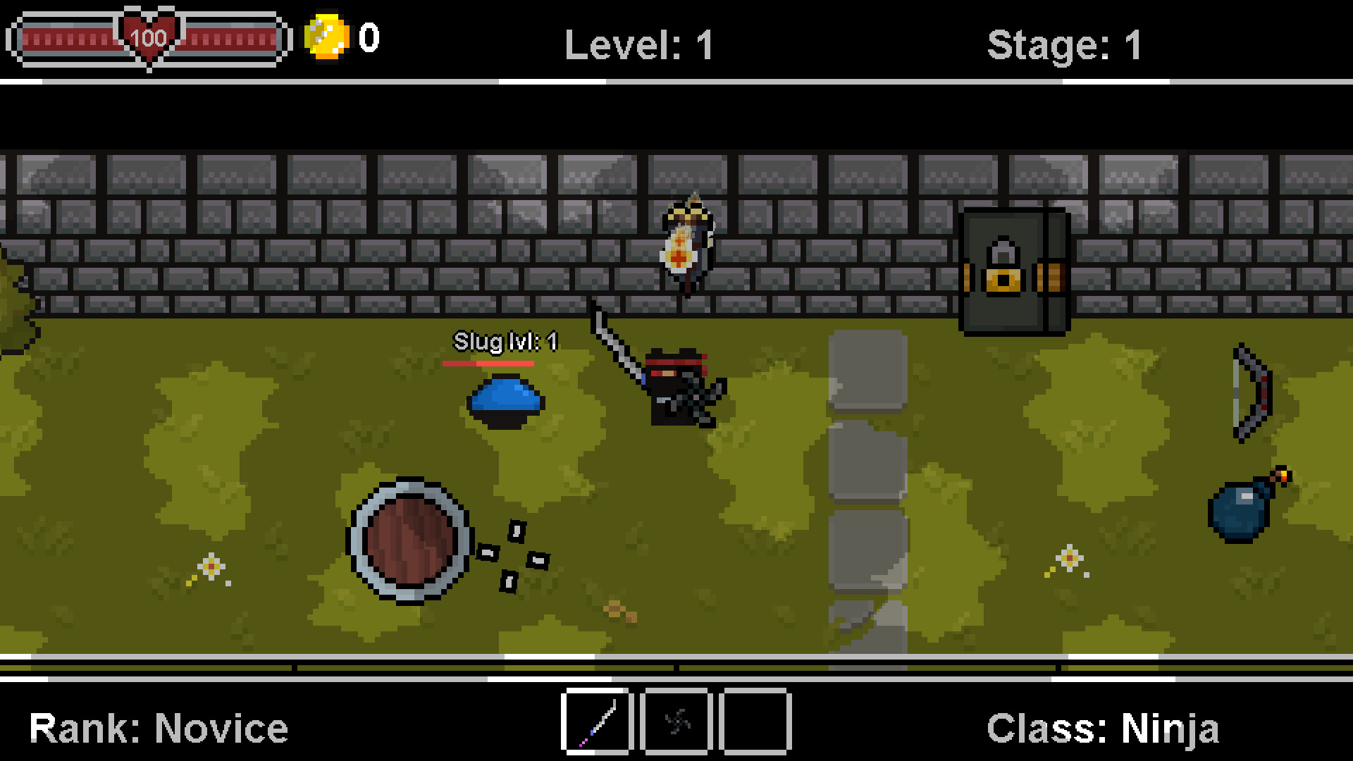 Dungeon Arena: Class Ninja