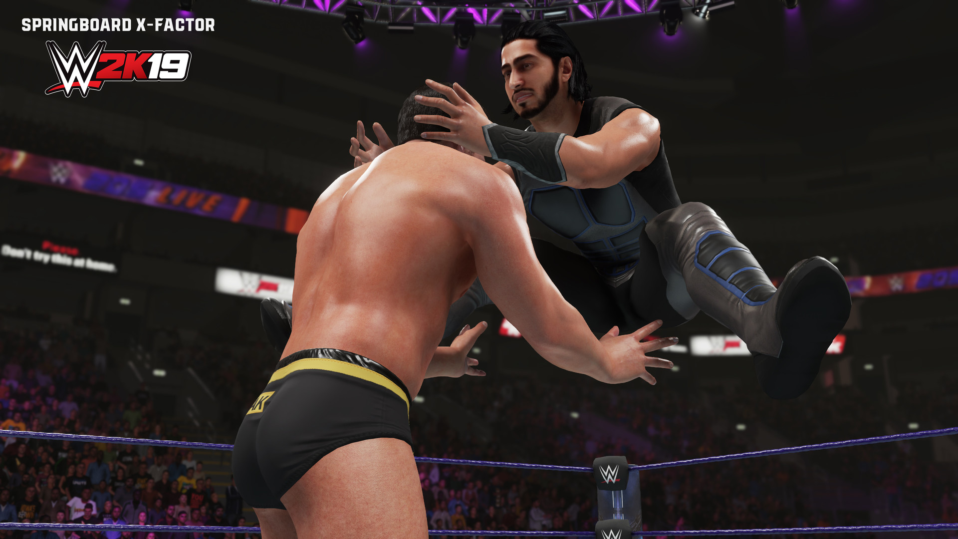 WWE 2K19: New Moves