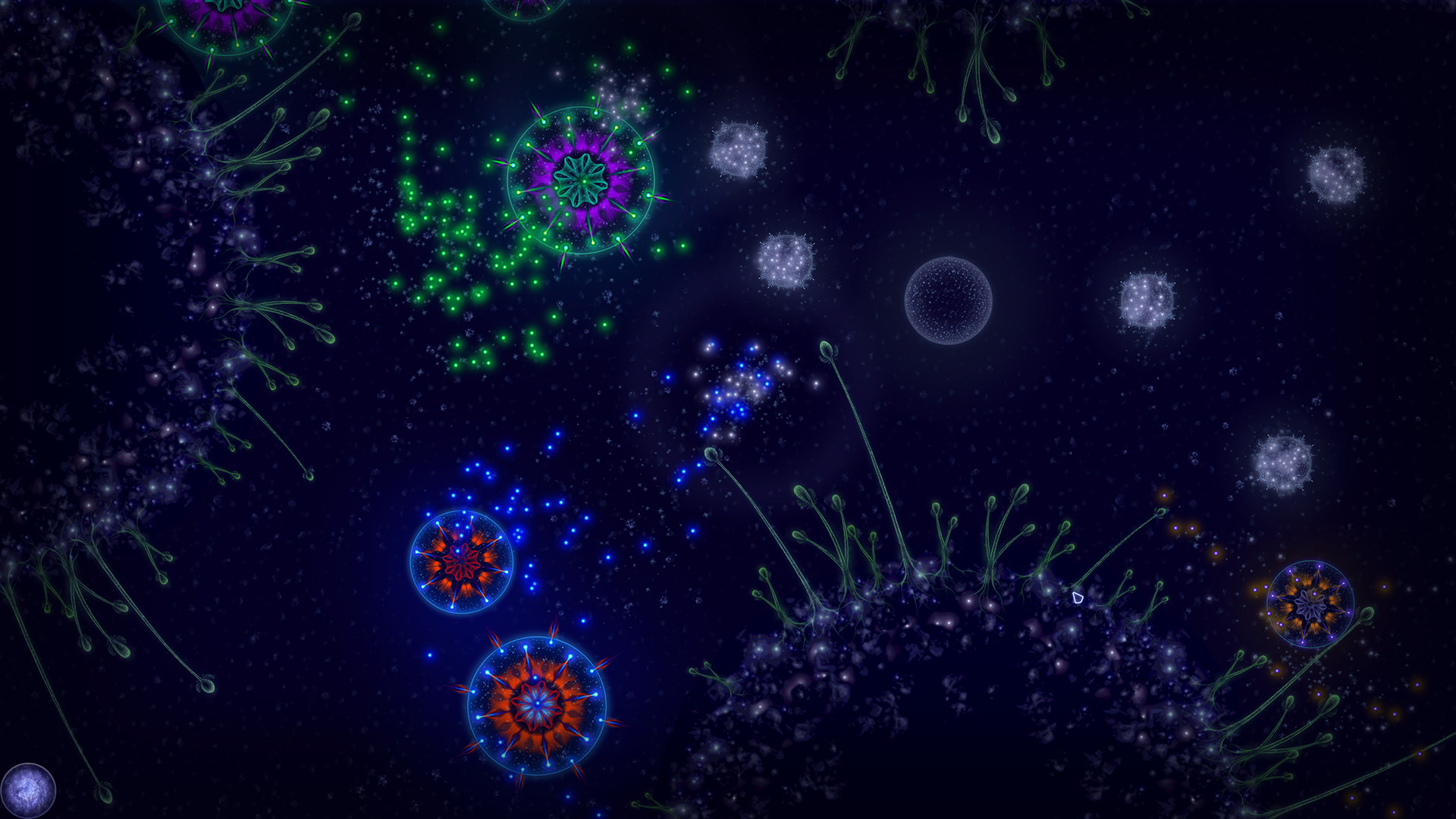 Microcosmum: Survival of Cells – Campaign “New life”