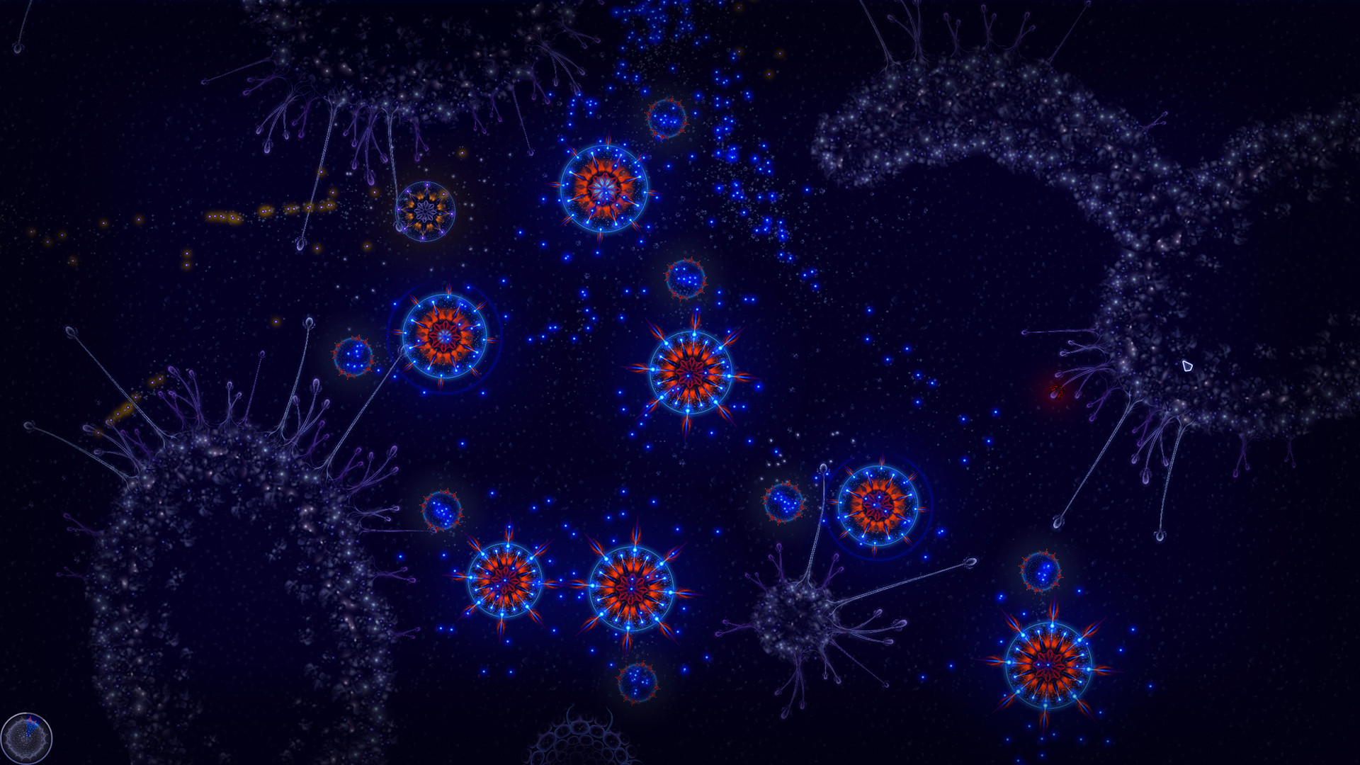 Microcosmum: Survival of Cells – Campaign “New life”