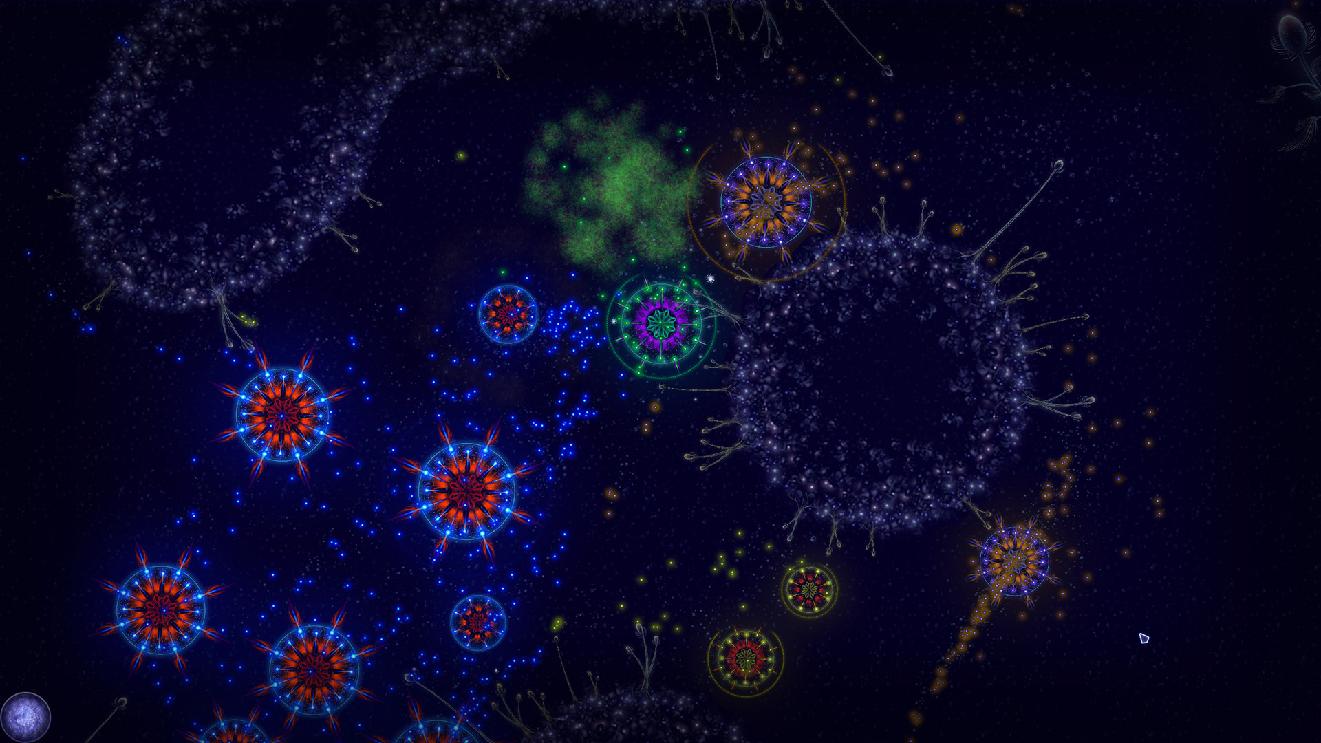 Microcosmum: Survival of Cells – Campaign “New life”