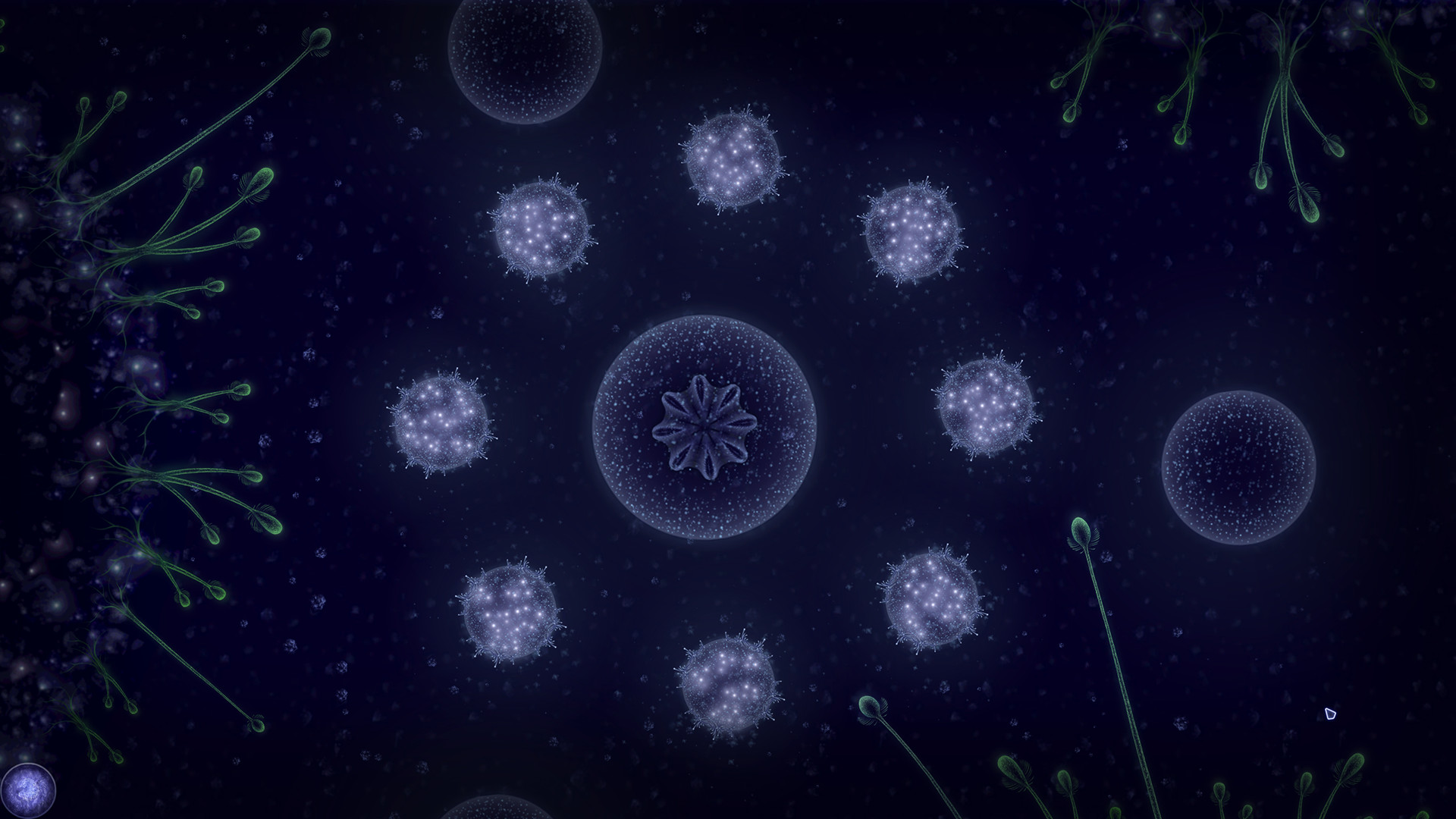 Microcosmum: Survival of Cells – Campaign “New life”