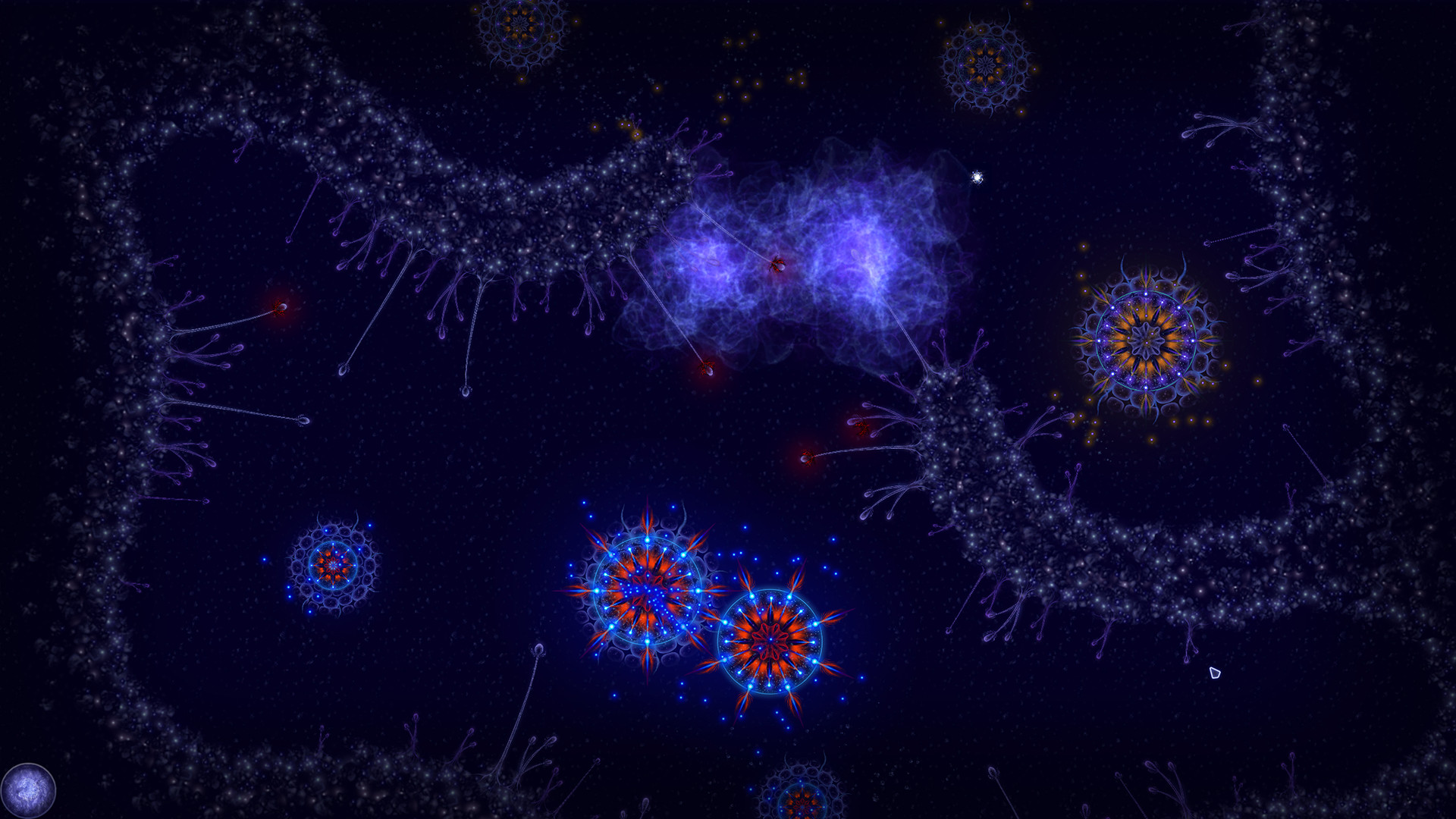 Microcosmum: Survival of Cells – Campaign “New life”