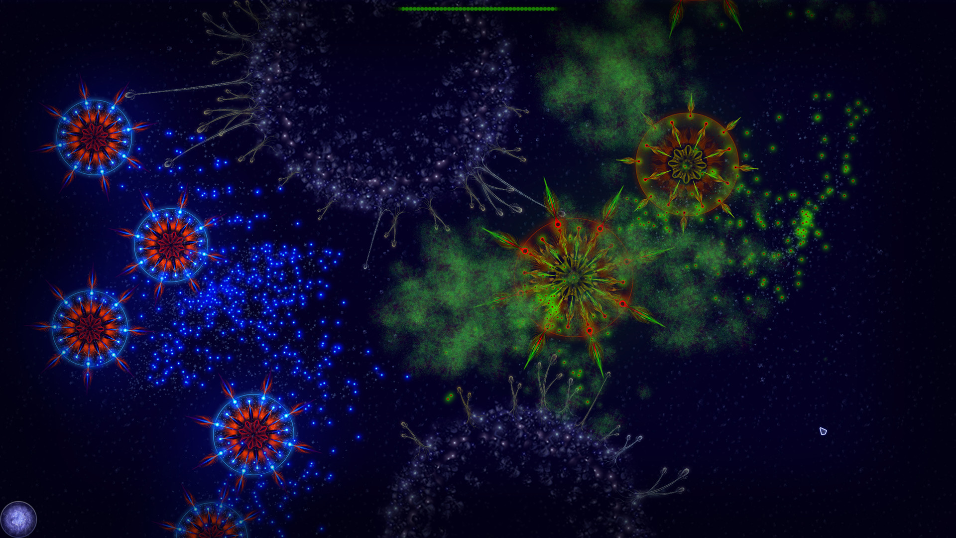 Microcosmum: Survival of Cells – Campaign “New life”